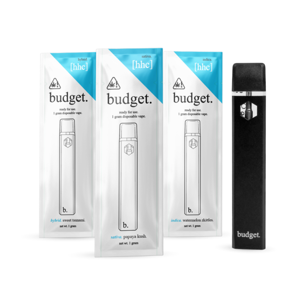 BUDGET BARS 1 GRAM HHC DISPOSABLE