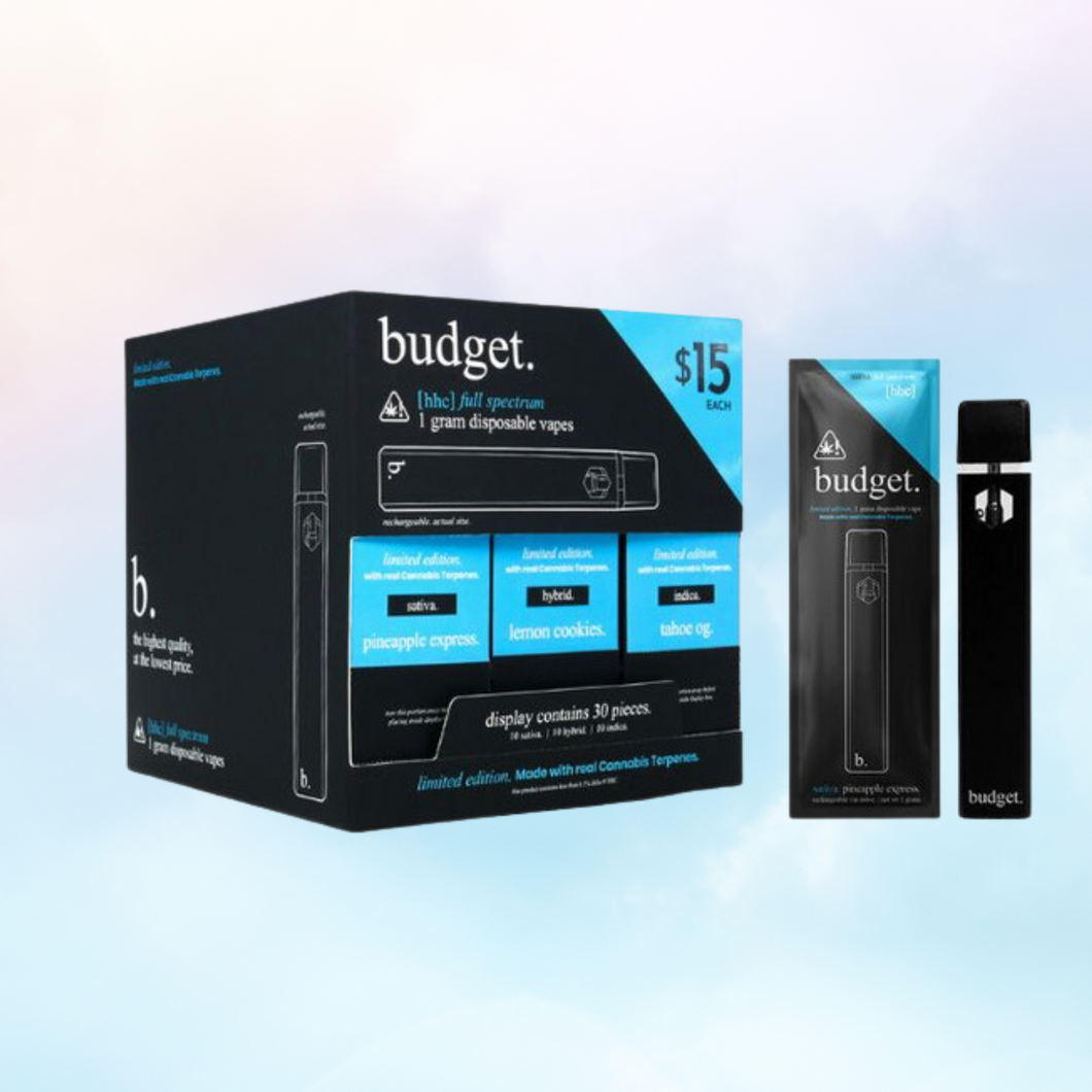 BUDGET BAR FULL SPECTRUM HHC 1 GRAM DISPOSABLE
